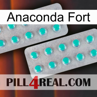 Anaconda Strong 29